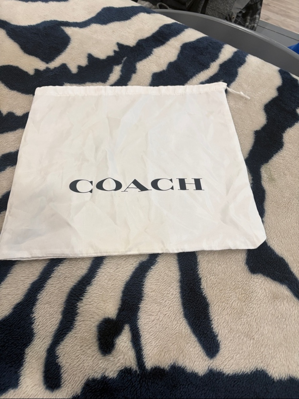 Coach Purse Travel Storage
